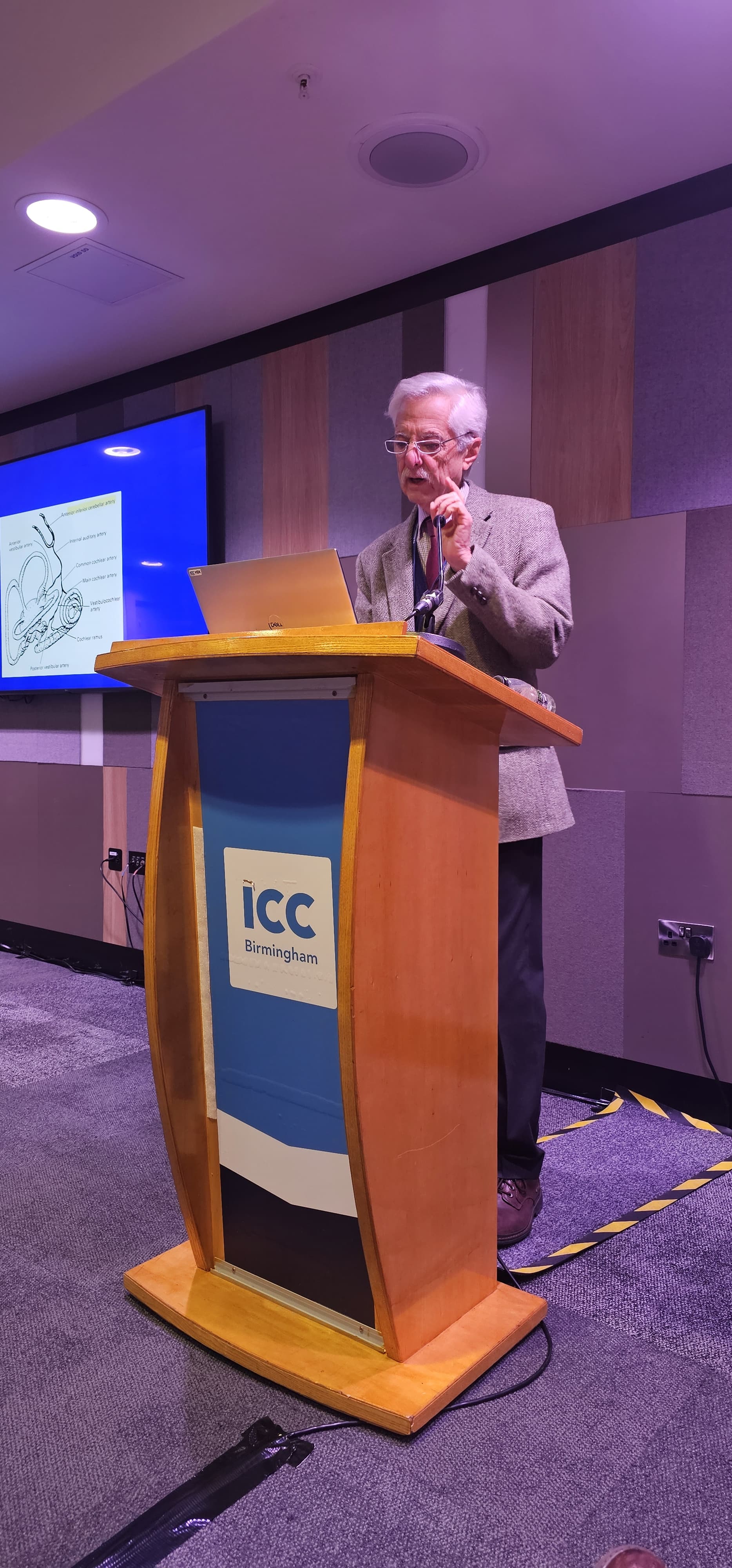 Adolfo Bronstein - Tips and tricks for examination of eye movements and vestibular system