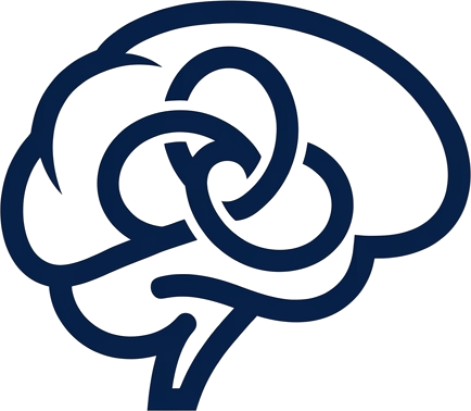 Vestibular Neurology